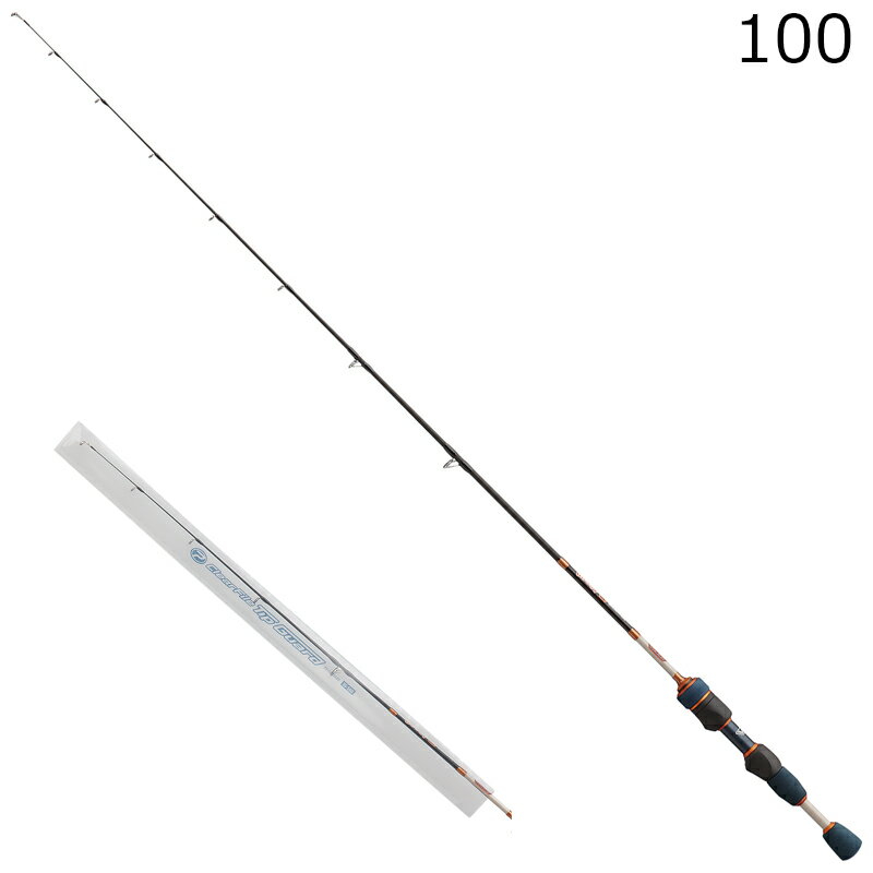 ビセオ ガッシーSE (ショート/100) VCGSS100 VICEO 穴釣りロッド...