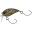 プレッソワブクラJr.25SS SR(トッピングフード) ダイワ プレッソ ワブクラJr. 25SS SR (トッピングフード) DAIWA PRESSO エリアトラウトルアー プレッソワブクラJr.25SS SR(トッピングフード) ダイワ プレッソ ワブクラJr. 25SS SR (トッピングフード) DAIWA PRESSO エリアトラウトルアー