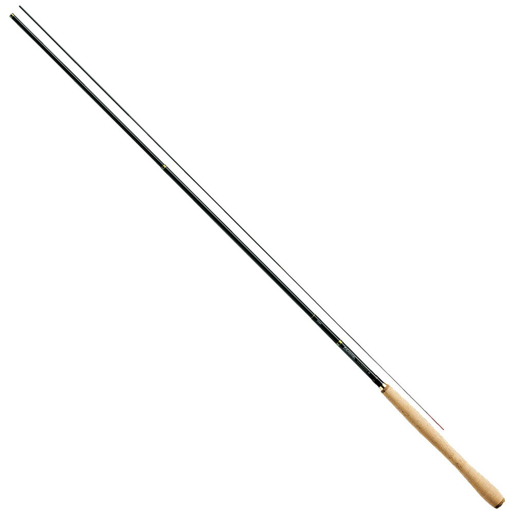 DAIWA NEOテンカラ３２ 4960652958554.jpg