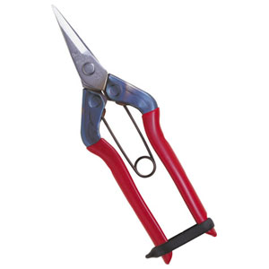 近正 ステンレス摘果鋏（ブリスターパック） T-500S