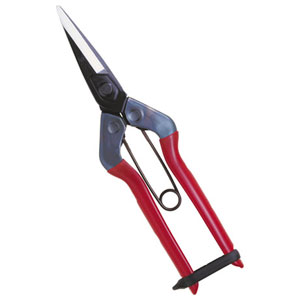 近正 采園鋏（化粧箱入り） T-601