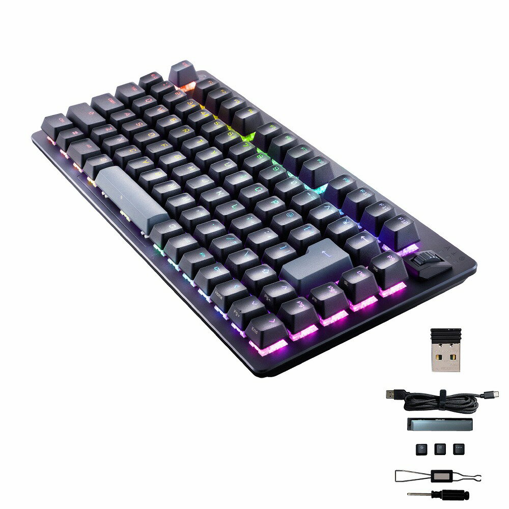 エレコム ゲーミングキーボード 有線/無線/Bluetooth リニア 赤軸 メカニカル キーボード 75%サイズ 日本語配列 RGB 着脱式ケーブル テンキーレス ネオクラッチキーキャップ Windows 11/10 対応 V custom(ブラック) TK-VK520LBK