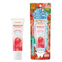 ベビー用品 オーラルケア 歯みがきジェル いちご味 歯の本数の目安:6本〜(参考:9カ月頃〜) コンビ ハミガキジエル(イチゴ)