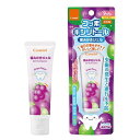ベビー用品 オーラルケア 歯みがきジェル ぶどう味 歯の本数の目安:6本〜(参考:9カ月頃〜) コンビ ハミガキジエル(ブドウ)