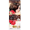 サロンドプロ ヘアマニキュア・スピーディ(白髪用) 5 ナチュラルブラウン ダリヤ サロンドHマニキユアS5