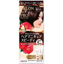 サロンドプロ ヘアマニキュア・スピーディ(白髪用)6 ダークブラウン ダリヤ サロンドHマニキユアS6
