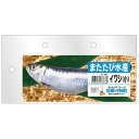 またたび水産 イワシ(小) 1個 マルカン CT-641Mスイサンイワシシヨウ