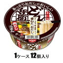 日清のあっさりおだしがおいしいどん兵衛 肉だしうどん 74g(1ケース12個入) 日清食品 Nアツサリドンベエニク74G*12