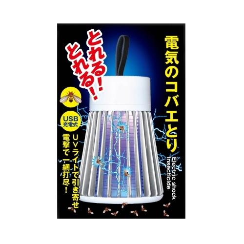 �ŵ��Υ��Х��Ȥ� ���������� �ǥ󥭥Υ��Х��ȥ�