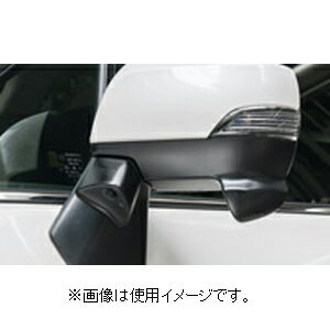 データシステム スバル車用車種別サイドカメラキット（標準タイプ） SCK-49F3N Data system