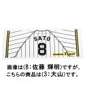 12JRXTB703F ミズノ 【阪神タイガース公認】応援プリントユニフォーム柄フェイスタオル ホーム(3:大山 悠輔) 【阪神タイガース】 MIZUNO 2025年(4)