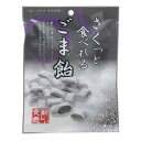 さくっと食べれるごま飴 60g 大丸本舗 サクツトタベレルゴ