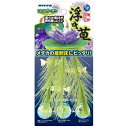 アクアリウム用品 リトルガーデン 浮き草 パープル マルカン リトルGウキグサ(パ-プル)