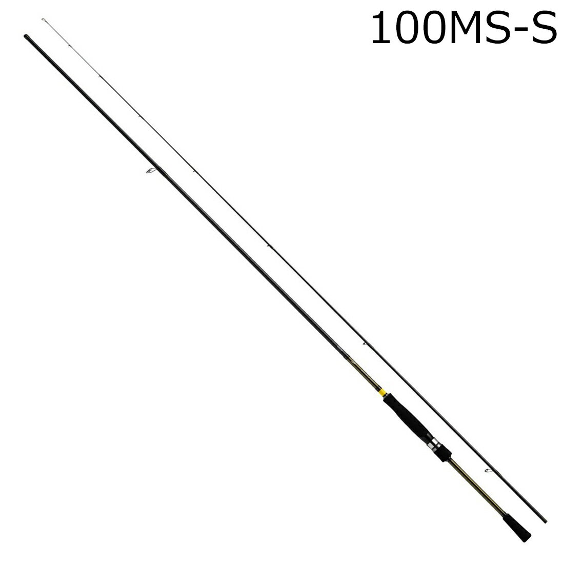  22 楤 X 100MS-S ԥ˥󥰥ǥ 22楤X 100MS-S DAIWA AYUING X 2025ǯ3ɲåǥ