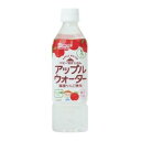 和光堂 ベビーのじかん アップルウオーター 500ml (5か月頃から) アサヒグループ食品 W)ベビ-アツプル 500ML