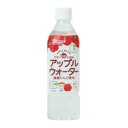 和光堂 ベビーのじかん アップルウオーター 500ml （5か月頃から） アサヒグループ食品 W)ベビ-アツプル 500ML