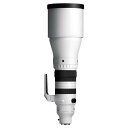 300-600MMF4DGOSSE シグマ 300-600mm F4 DG OS ※ソニーFEマウント用レンズ(フルサイズミラーレス対応)