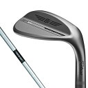 853RSSF4810J タイトリスト ボーケイデザイン SM10 ウェッジ ニッケル 48°10°F Dynamic Gold シャフト