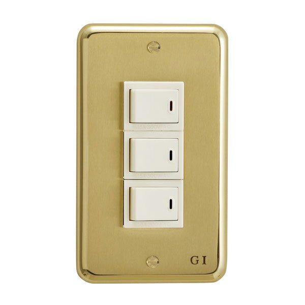 ゴーリキアイランド スイッチプレート PM 03 HCL 790303 GORIKI ISLAND [790303GORIKIISLAND]