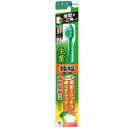 生葉極幅ブラシ レギュラーヘッド ふつう 小林製薬 シヨウヨウゴクハバブラシフツウ