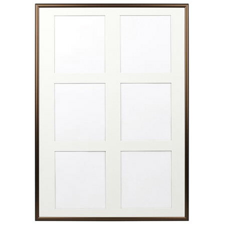 ケンコー ディスプレイフレーム NEWパチット ミニ色紙フレーム 6窓（ダークゴールド） NAPT-M6-DB [NAP..