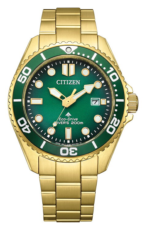 シチズン 【国内正規品】プロマスター　MARINEシリーズ エコ・ドライブ　メンズタイプ BN0262-59W [BN026259W]【返品種別A】