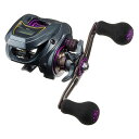 19ライトSW X IC L ダイワ 19 ライトSW X IC L (左ハンドル) DAIWA 19LIGHT SW X IC