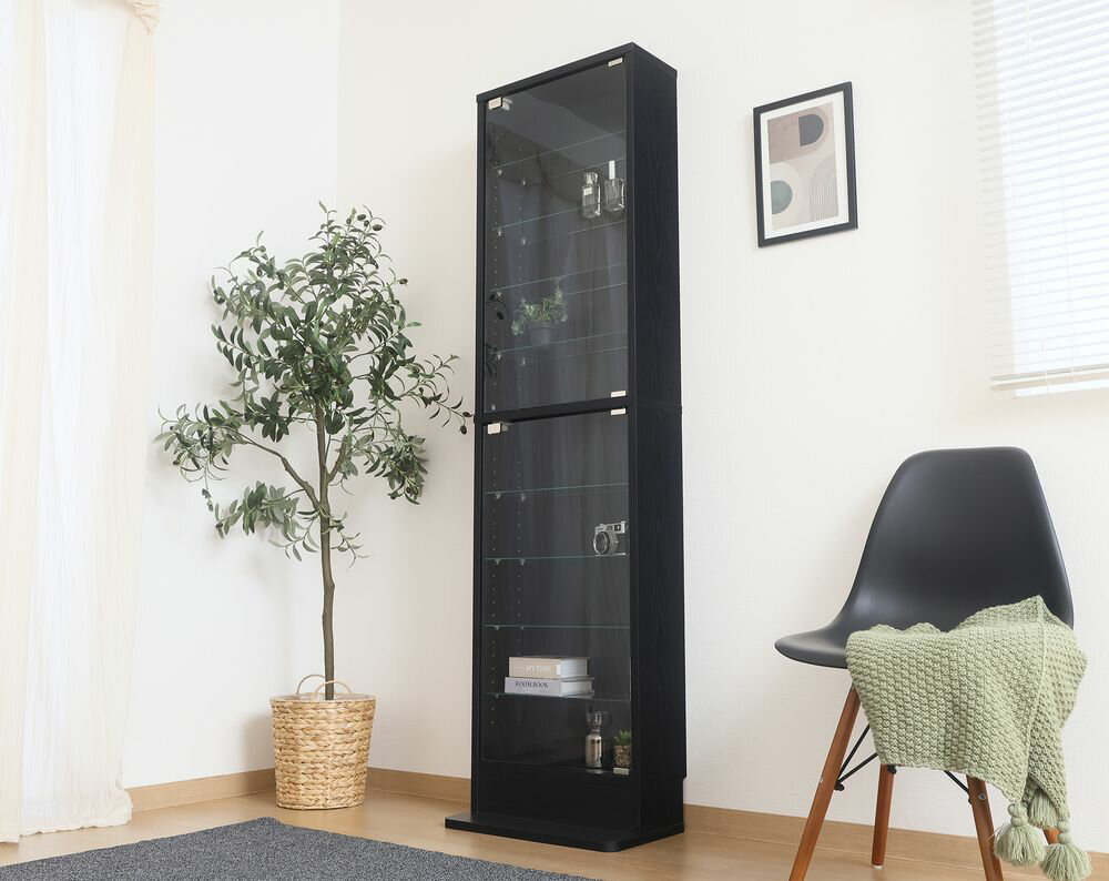 不二貿易 コレクションラック TOR ハイタイプ（ブラック） 57085 [57085フジボウエキ]