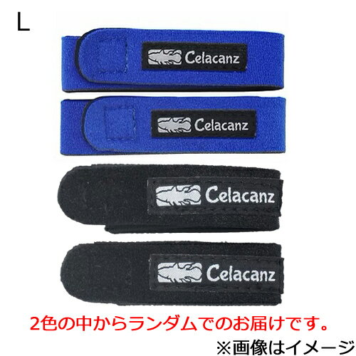 エクセル ロッドベルト Lサイズ40×3.5cm 2本入（色は選べません） KBC-641/L Celacanz ロッドバンド