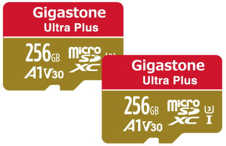 GJMXR256GV3A1100R2PK Gigastone|ギガストーン microSDXCカード 256GB Class10 UHS-I U3 V30 (ジッパーパック包装) 【2枚セット】 Nintendo Switch確認済 GJMXR256GV3A1100R2PK Gigastone|ギガストーン microSDXCカード 256GB Class10 UHS-I U3 V30 (ジッパーパック包装) 【2枚セット】 Nintendo Switch確認済