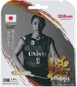 WIL-WR85000020 Wilson(ウィルソン) CX66 BADMINTON STRING SET(ゴールド)