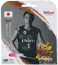 WIL-WR85000050 Wilson(ウィルソン) CX66 BADMINTON STRING SET(ピンク)