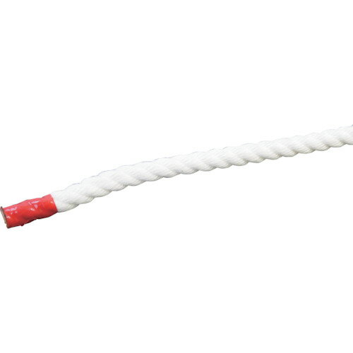 グリーンクロス クレモナSロープ　10mm×50m 6300023904 グリーンクロス