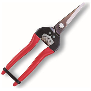 ���륹�����ݥ졼����� Ŧ�������󥰥����ס�Ȣ����� 300L