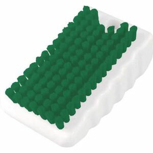トラスコ中山 ツメブラシ HACCP対応 グリーン TNB-H-GN つめ除菌ブラシ トラスコ中山 ツメブラシ HACCP対応 グリーン TNB-H-GN つめ除菌ブラシ