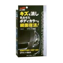 00503 ソフト99 カラーエボリューション 100ml(ブラック車用) SOFT99