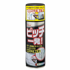 ���쥤 �ԥå���ȯ�� 958782