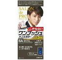 サロンドプロ ワンプッシュメンズカラー 6A 深みのあるアッシュブラウン ダリヤ Sワンプツシユメンズ6AN