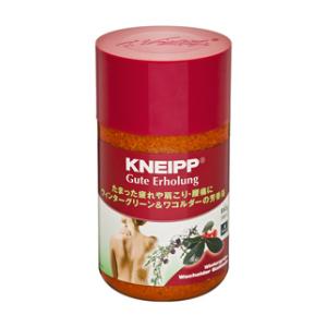 Х 󥿡꡼拾ι 850g ʥ ƥۡ ʥץѥ KP-ƥ850G