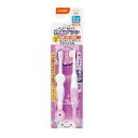テテオ はじめて歯みがき 乳歯ブラシ STEP2 (9カ月頃〜) コンビ テテオハミガキニユウシブラシ2