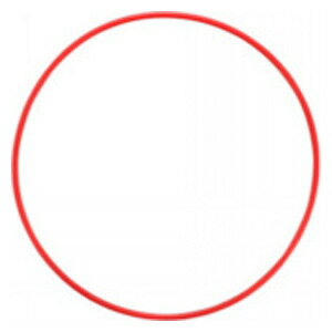 オリンパス 防水プロテクター「PT-EP14」用Oリング POL-EP14