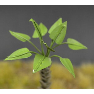 【返品種別B】□「返品種別」について詳しくはこちら□2016年04月 発売※画像はイメージです。実際の商品とは異なる場合がございます。【商品紹介】Reality In Scale 1/35 椰子の樹 15(高さ8センチ）です。【商品仕様】1/35スケール用模型＞プラモデル・メーカー別＞海外メーカー6＞Reality In Scale