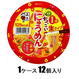 ちっこいにゅうめん 醤油仕立て 90g（1ケース12個入） 五木食品 チツコイニユウメンシヨウユ90GX12