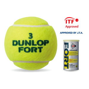 FORT2Pイエロ- DLP ダンロップ 硬式テニスボール（イエロー・2球入り） DUNLOP FORT フォート DFDYL2DOZ