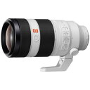 SEL100400GM ソニー FE 100-400mm F4.5-5.6 GM OSS ※FEマウント用レンズ（フルサイズミラーレス対応）