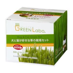 犬と猫が好きな草 栽培セット GREEN Labo. イヌトネコガスキナクササイバイセツト