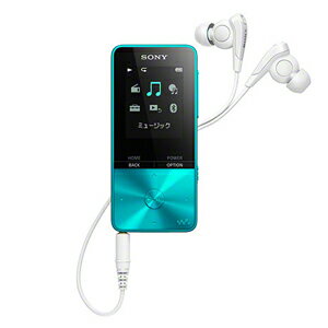 NW-S313 L ˡ ޥ S310꡼ 4GBʥ֥롼 SONY Walkman