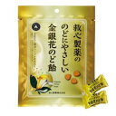 救心製薬ののどにやさしい金銀花のど飴70g(個包装込み) 救心製薬 キンギンカノドアメ