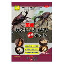 【返品種別A】□「返品種別」について詳しくはこちら□※商品画像とデザイン・カラーが異なる場合がございます。予めご了承下さい。◆国産のカブトムシやクワガタムシが好む、国産の広葉樹材と菌床材などをブレンドし、分解発酵されたマットで、国産のカブトムシ・ノコギリクワガタの幼虫が食べた時、消化吸収がしやすいマットに仕上げました。【内容量】5L【材質】広葉樹材 菌床材三晃商会広告文責：上新電機株式会社(06-6633-1111)日用雑貨＞ペット＞昆虫