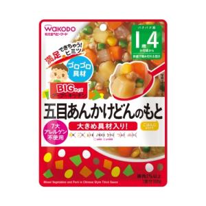 BIGサイズのグーグーキッチン 五目あんかけどんのもと100g （1歳4か月頃から） アサヒグループ食品 GBゴモクアンカケドンノモト